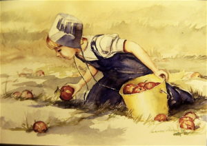 53